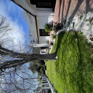 A sunny day view of a house with a well-maintained garden and lawn.