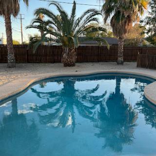 A serene swimming pool surrounded by palm trees, reflecting the clear blue sky.