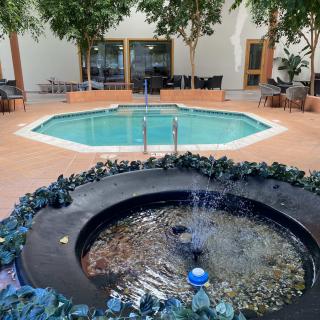 Indoor pool and fountain area with surrounding plants and seating.