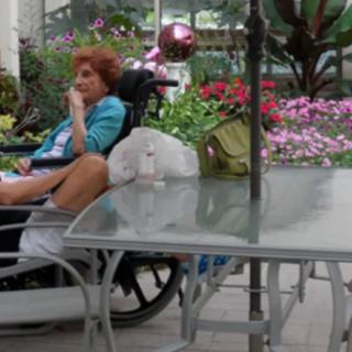 A woman relaxing in a wheelchair with a cat on the table, surrounded by colorful flowers in a garden.