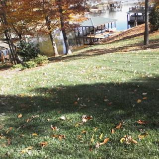 A serene autumn scene by the lake, with fallen leaves and a well-maintained lawn.