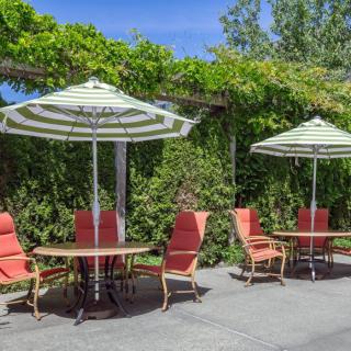 A sunny outdoor patio with tables, chairs, and umbrellas amidst lush greenery.