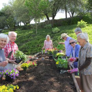 A group of seniors enjoying gardening together, planting flowers in a community garden.