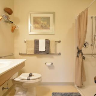 A cozy, well-lit bathroom featuring a shower with a curtain, wall art, a sink, and neatly arranged towels.
