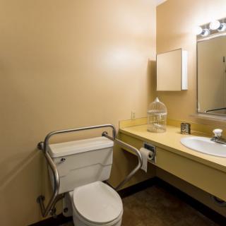 An accessible bathroom with a toilet, handrail, sink, and mirror.