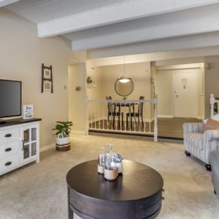 A cozy living room with modern decor, featuring a TV, coffee table, plant, and a stylish sofa.