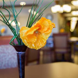 A vibrant orange flower arrangement in a decorative vase, adding a touch of color to the interior space.