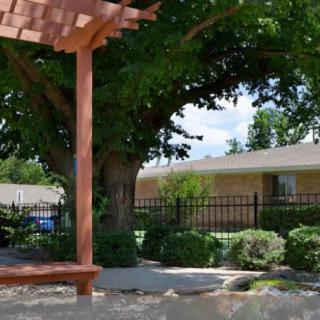 A wooden pergola in a garden with a tree and a house in the background.