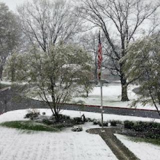A serene winter scene with snow covering the ground and trees, featuring a flag in the foreground.