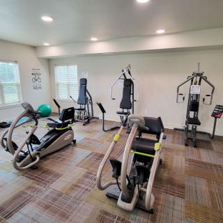 A well-equipped gym with various exercise machines.
