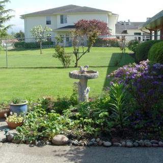 A well-maintained garden with a birdbath surrounded by various plants and flowers, set against a backdrop of a spacious lawn and house.