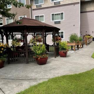 A serene garden with a gazebo surrounded by lush greenery and potted plants.