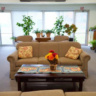 A cozy living room with comfortable sofas, a coffee table adorned with a floral arrangement, and lush green plants by the windows.