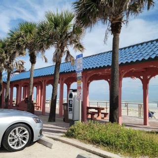 A sunny beachside scene with palm trees, a boardwalk, and parked cars.