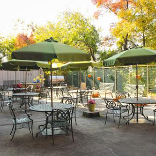 A serene outdoor patio with green umbrellas, perfect for enjoying a meal amidst the beautiful fall colors.