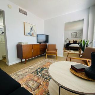 A mid-century modern living room featuring vintage furniture, a patterned rug, and a television.