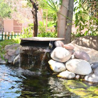 A peaceful garden feature with a gentle waterfall cascading over smooth stones.