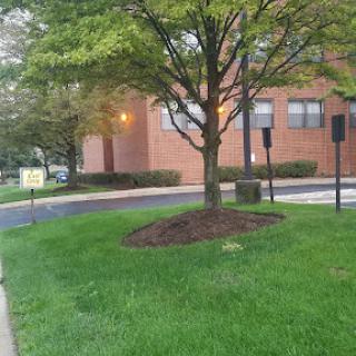 A serene outdoor scene featuring a tree beside a building, with well-maintained grass and landscaping.