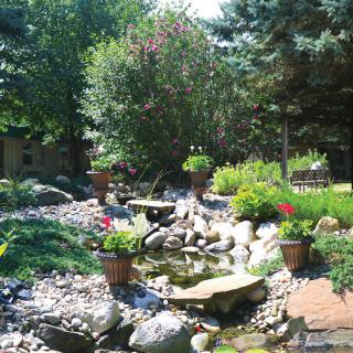 A serene garden with a small pond surrounded by lush greenery and rocks.