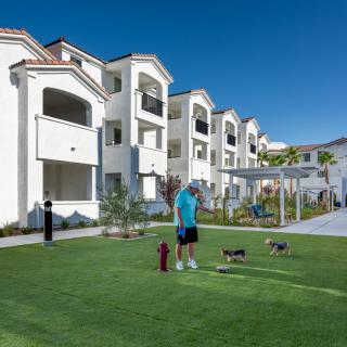 A man walks his dogs in front of a modern apartment complex on a sunny day.