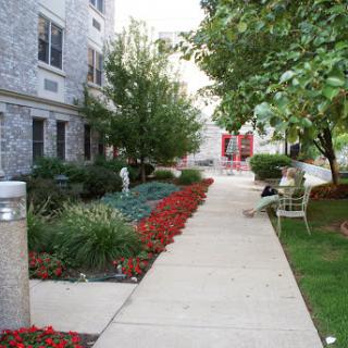 A serene pathway lined with colorful flowers and greenery, leading to an inviting entrance.