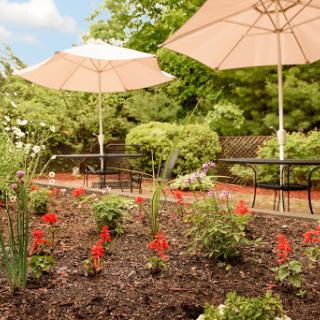 A serene garden setting featuring vibrant red flowers, lush greenery, and shaded seating under stylish umbrellas.