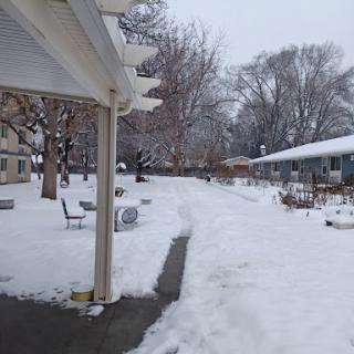 A serene winter scene with a snow-covered pathway winding through a quiet residential area.