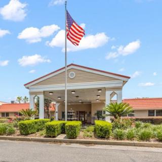 A building entrance with a flagpole displaying an American flag, surrounded by neatly arranged plants and shrubs.