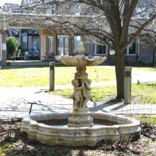 A charming garden fountain surrounded by greenery, perfect for a peaceful outdoor setting.