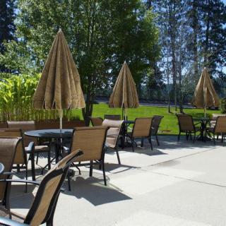 Sunny outdoor patio area with tables and chairs under umbrellas.