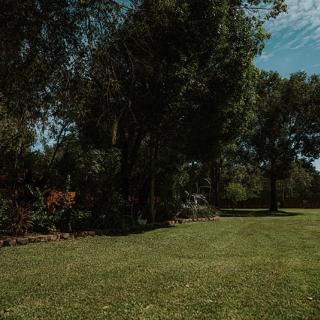 A serene outdoor scene with lush green grass and tall trees under a clear sky.
