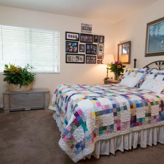A cozy, well-decorated bedroom featuring a colorful quilt on the bed, wall art, and plants by the window.