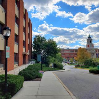 A scenic view of a pathway lined with greenery, leading towards a building under a partly cloudy sky.
