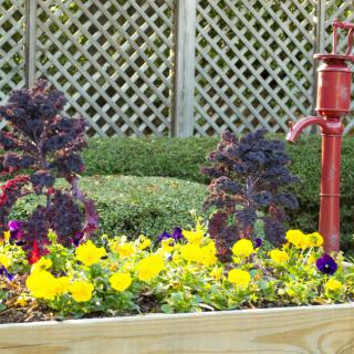 A colorful garden bed with yellow and purple flowers, featuring a decorative red water pump.