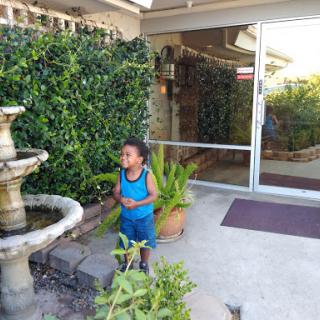 A child playing near a decorative fountain surrounded by lush plants.