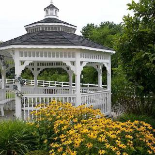 A picturesque white gazebo surrounded by vibrant yellow flowers in a lush garden setting.