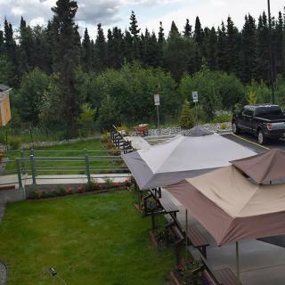 An outdoor area with canopies overlooking a green lawn and trees.