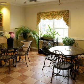 A cozy cafe seating area with plants and natural light.