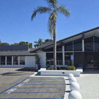 A modern building with a palm tree at the entrance under a clear blue sky.