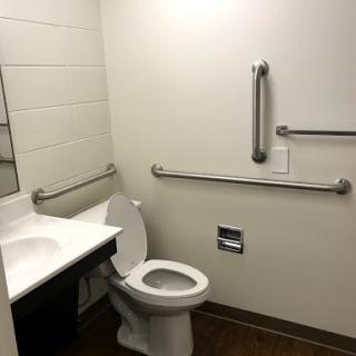 A clean and accessible bathroom featuring a toilet and sink with handrails.