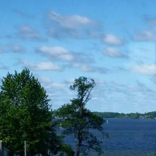 A peaceful lakeside view with trees and a partly cloudy sky.