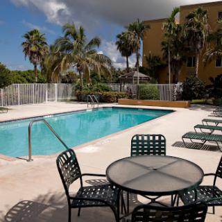 A tranquil swimming pool area surrounded by palm trees, perfect for a sunny day of relaxation.