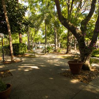 A serene pathway meandering through a lush garden, framed by vibrant trees.