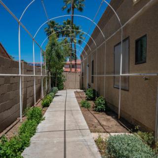 A sunny walkway lined with plants and enclosed by a metal frame.
