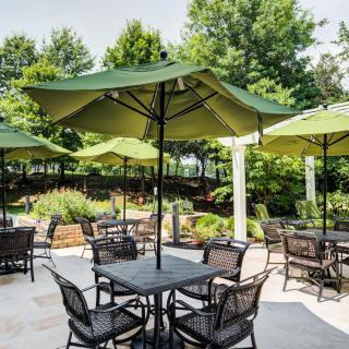 An outdoor patio with tables, chairs, and green umbrellas set amidst lush greenery.