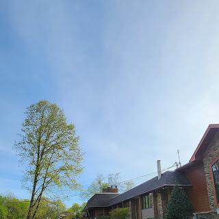 A serene view of a house surrounded by lush greenery and a clear blue sky.