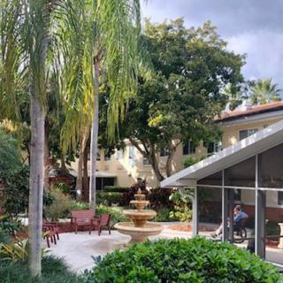 A serene garden patio featuring a fountain and surrounded by lush palm trees.