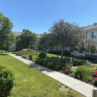 A well-maintained courtyard in a residential area with pathways, trees, and landscaped gardens on a sunny day.