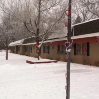 A snow-covered landscape featuring a building and trees in winter.