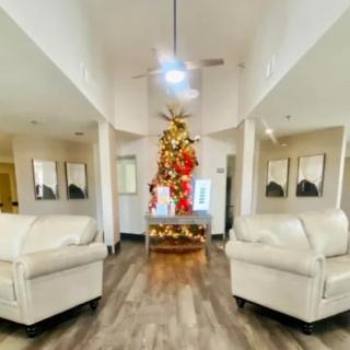 A modern living room with a festive Christmas tree and elegant leather sofas.